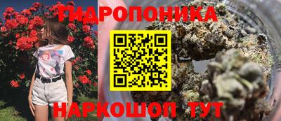 сатива Заводоуковск