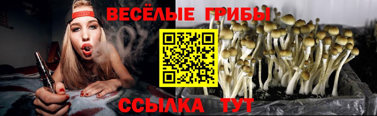 Галлюциногенные грибы Psilocybe  Псилоцибиновые грибы прущие грибы  продажа наркотиков  Муром  Вход с VPN 