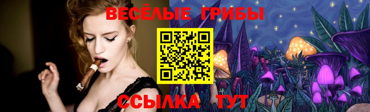Псилоцибиновые грибы Cubensis Муром